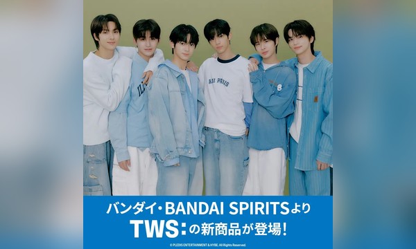 BANDAI × TWS 라이선스 상품 전개